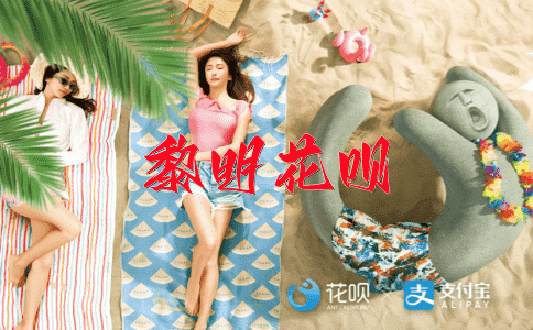 鞠躬尽力花呗